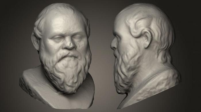 Busts and bas-reliefs of famous people (BUSTC_0566) 3D model for CNC machine